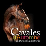 Visuel-affiche-CA