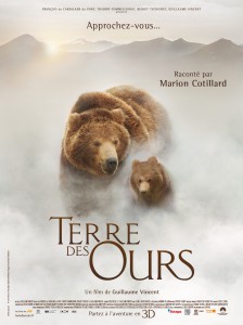 Animaux TERRE DES OURS - affiche