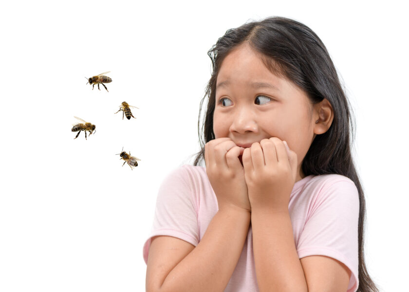 peur abeilles