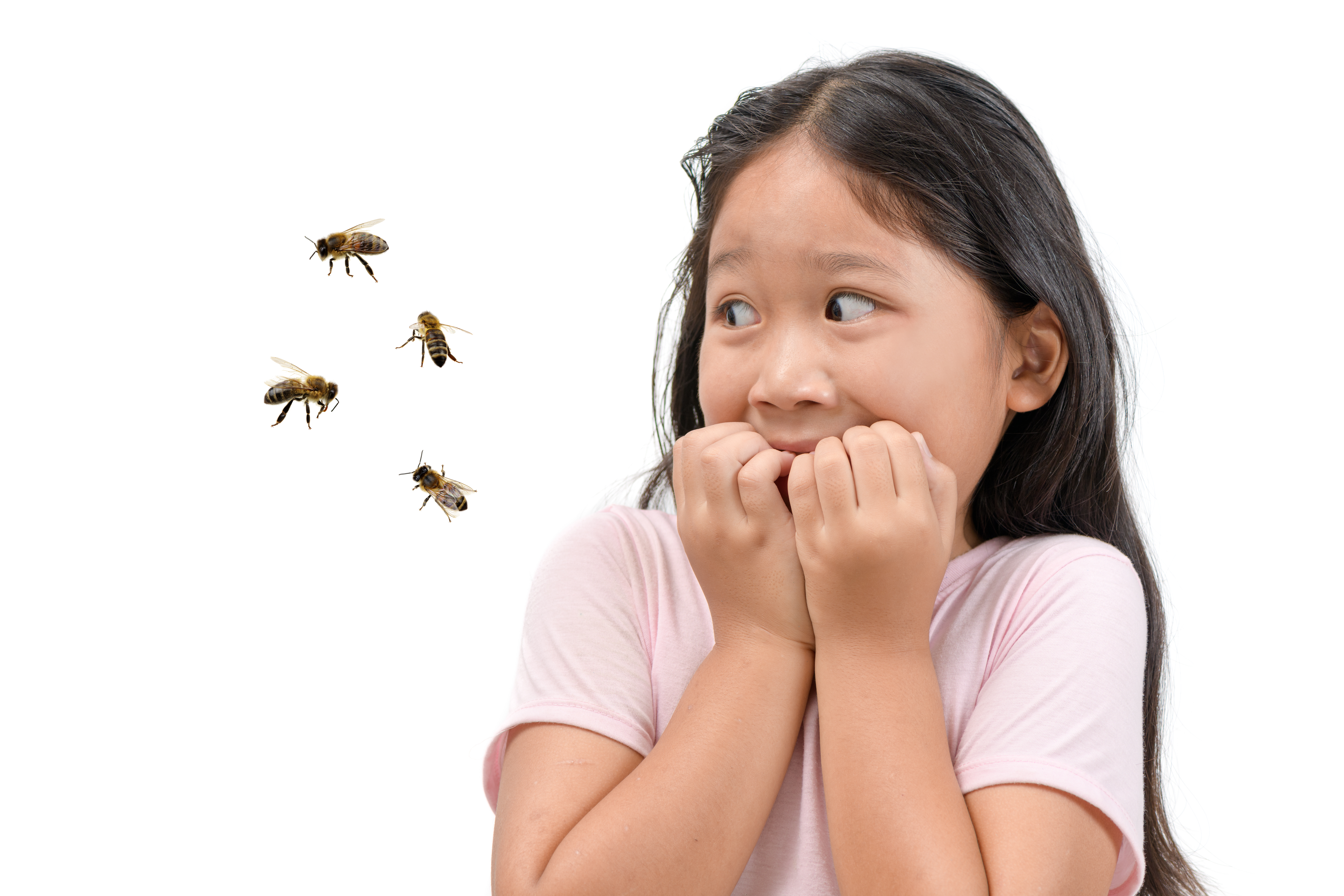 peur abeilles