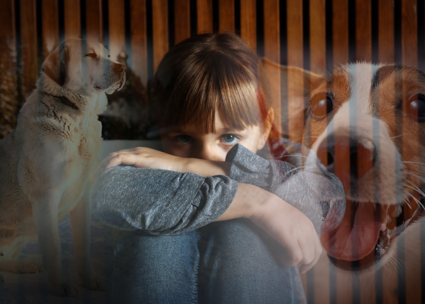 peur chien cynophobie julie magazine
