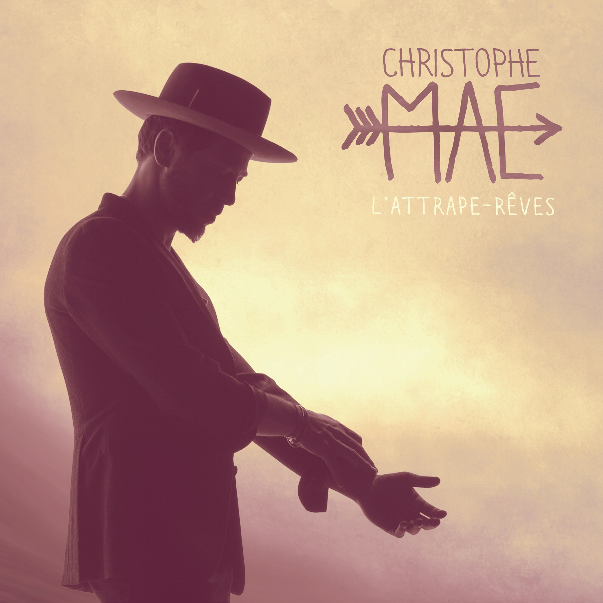 J Avoue Christophe Mae Paroles J ai Laisse Par Christophe Ma JOVH