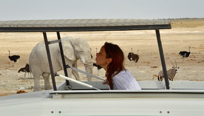 Perrine Crosmary et les éléphants du désert.